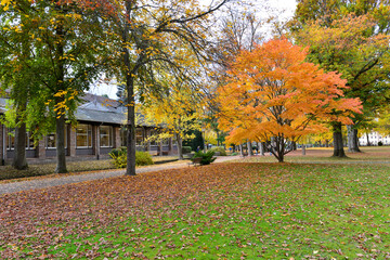 Naklejka premium Herbststimmung im Bad Orber Kurpark 