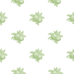 Green apples seamless pattern on white background. Vintage botanical wallpaper.