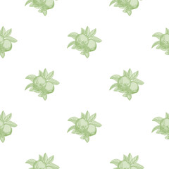 Fototapeta premium Green apples seamless pattern on white background. Vintage botanical wallpaper.