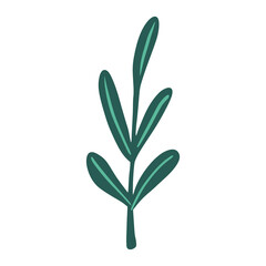 Foliage on twigs isolated on white background. Scandinavian botanical green color sketch in hand drawn.