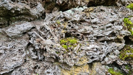 texture
