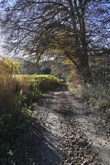 Bayern an einem sonnigen Spätherbsttag