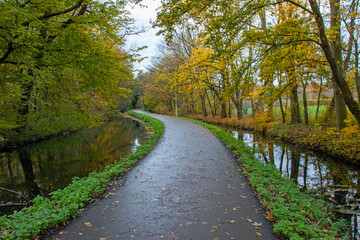 Fototapeta premium Empty bicylce path in a park in autumn (Leiden, Netherlands)