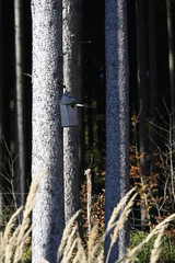 Bayern an einem sonnigen Spätherbsttag