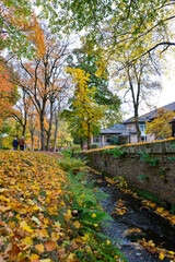 Herbststimmung im Bad Orber Kurpark