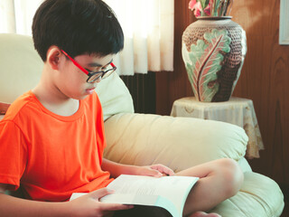 Young asian boy wear glasses reading book and smiling while sitting for leisure on sofa in the room with happiness.
