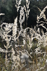 Bayern an einem sonnigen Spätherbsttag