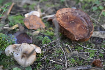 Bayern an einem sonnigen Spätherbsttag