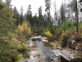 Obraz premium fall colors with mountain stream creek and mist