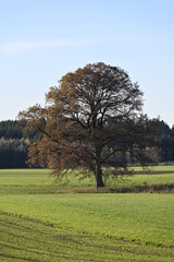 Bayern an einem sonnigen Spätherbsttag
