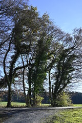 Bayern an einem sonnigen Spätherbsttag