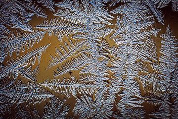 hoarfrost
