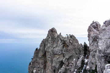 pine trees on top of the cliff
