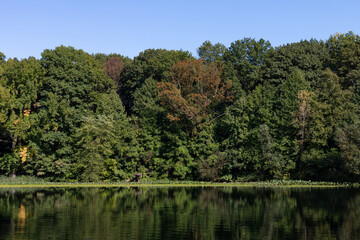 Fototapeta na wymiar Pond at Prospect Park in Brooklyn New York during Summer with Green Trees and Plants