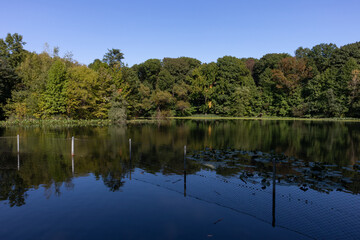 Obraz premium Pond at Prospect Park in Brooklyn New York during Summer with Green Trees and Plants