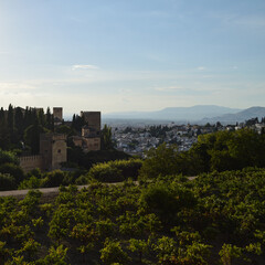Fototapeta na wymiar Generalife Gardens with View onto the Alhambra and Albaycin, Granada, Spain