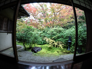 日本庭園 - 日本 - 庭 - 京都