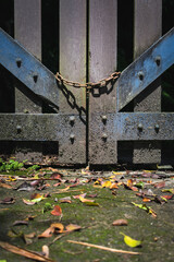 autumn leaves on a closed gate