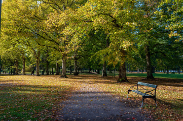 Unrecognizable people in the distance enjoy a sunny autumn day in city park Folkparken in Norrköping, Sweden 