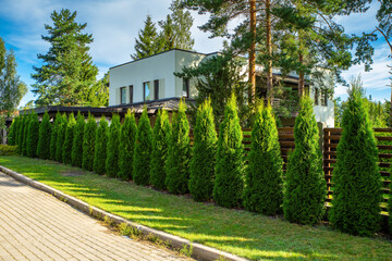 Modern exterior of private house. Cottage between huge trees. Green thujas near fence.
