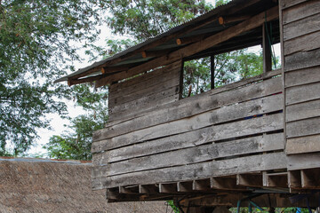 Wooden houses in northern Thai community