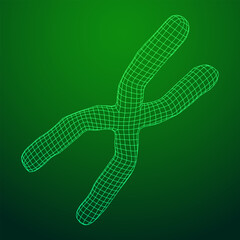 Chromosome scientific medicine education concept.