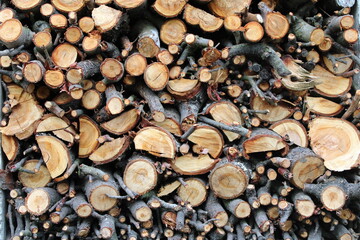 stack of firewood