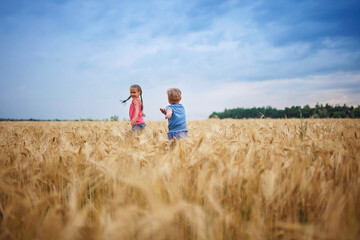 Fototapeta na wymiar Kids running in wheat field, live life to the fullest, freedom, childhood and happiness