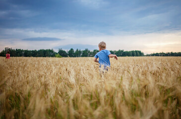 Naklejka na ściany i meble Kids running in wheat field, live life to the fullest, freedom, childhood and happiness