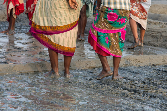 Donne in risaia