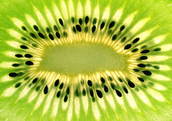 Kiwi Fruit Slice on white Background