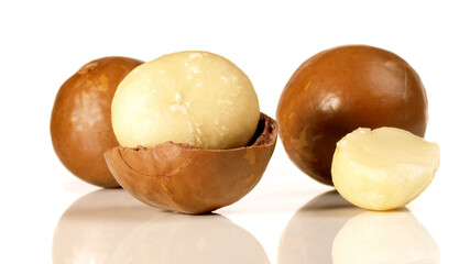 Macadamia Nuts on white Background Isolated