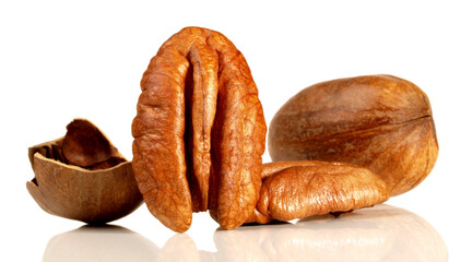 Pecan Nuts on white Background Isolated