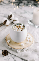 Christmas Cup of cocoa with marshmallows.