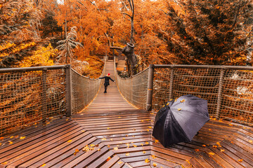 Fototapeta na wymiar Autumn Colors at Yildiz Park, Istanbul, Turkey
