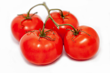 tomatoes isolated on white background