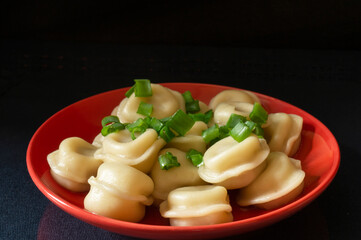 Meat dumplings with spring onionses on black background