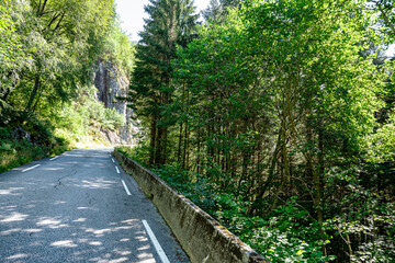 Narrow mountain street with trees
