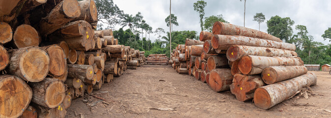 Wood log storage yard. Legally extracted from a Brazilian Amazon rainforest region.