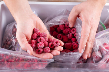 Frozen raspberry in hand, closeup. Frozen berries and fruits in a plastic bag in refrigerator