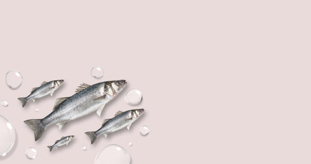 Colorful pattern of fish with bubbles on pastel pink background. Creative minimal concept. Flat lay.