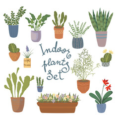 Stylish set of indoor plants. Interior items. Vector illustration.