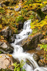 Todtnauer Wasserfall im Herbst