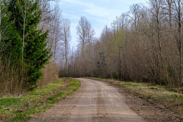 Obraz premium countryside dirt road gravel in perspective in summer