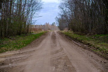 countryside dirt road gravel in perspective in summer