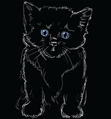 Vector Illustration of Adorable Blue-Eyed Cat on Black. Sketched Little Cute Kitten. Monochrome Freehand Drawing. Kids Style Graphic. Stylized Cartoon Beautiful Kitty. Realistic Drawing. Animal Art.