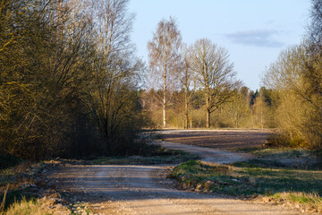 countryside dirt road gravel in perspective in summer