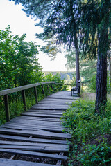 wooden boardwalk trail in green forest