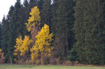 Herbstliche Stimmung!