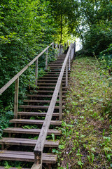 Obraz premium wooden boardwalk trail in green forest